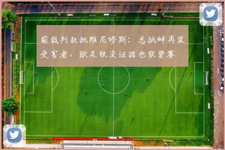 前裁判狂批维尼修斯：总挑衅再装受害者，欧足联没证据也敢禁赛