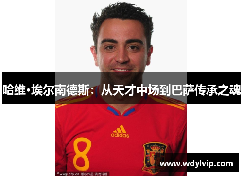 哈维·埃尔南德斯：从天才中场到巴萨传承之魂